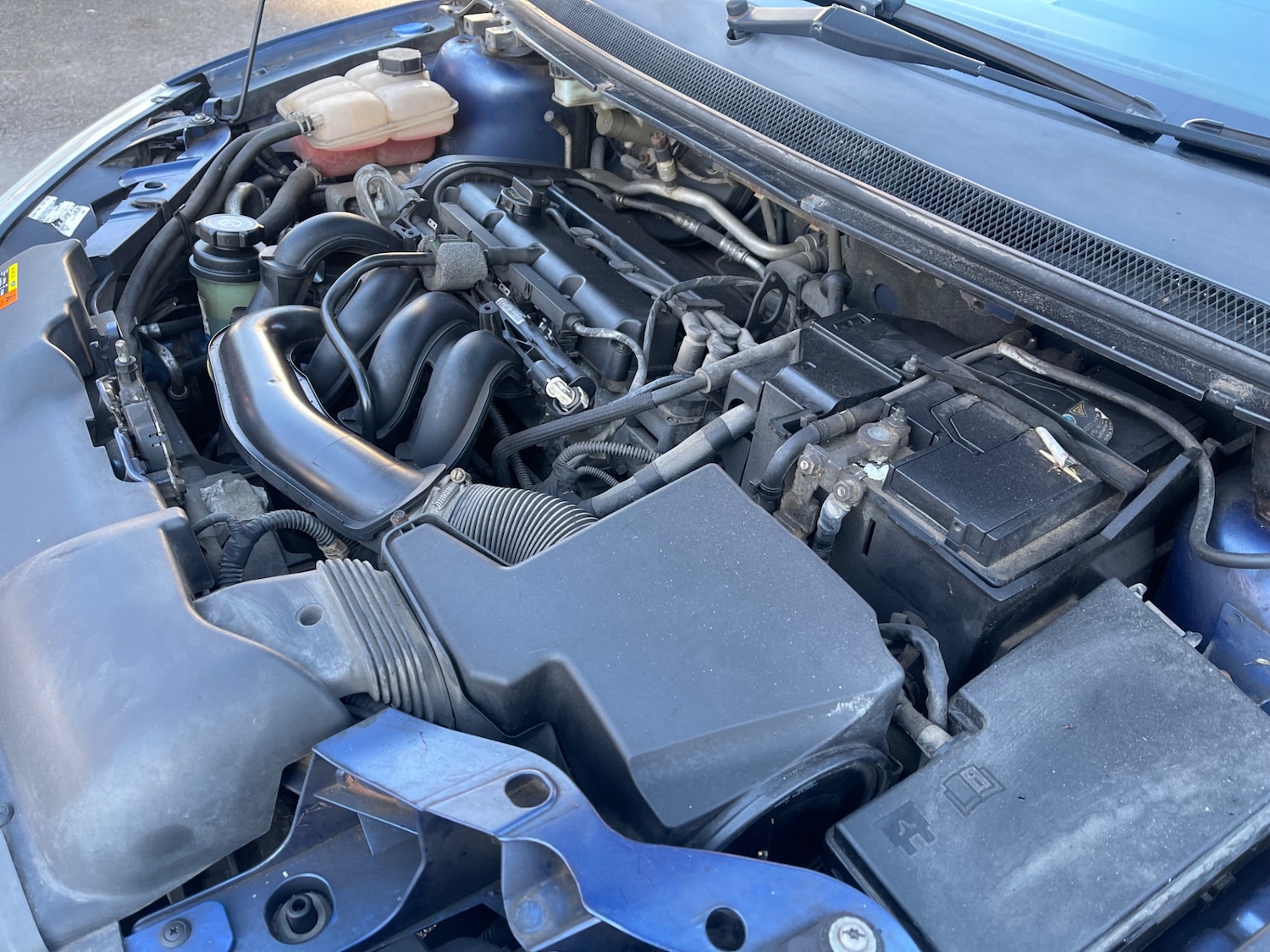 Used Ford Focus 2007 for sale - 77998483: Photo 20