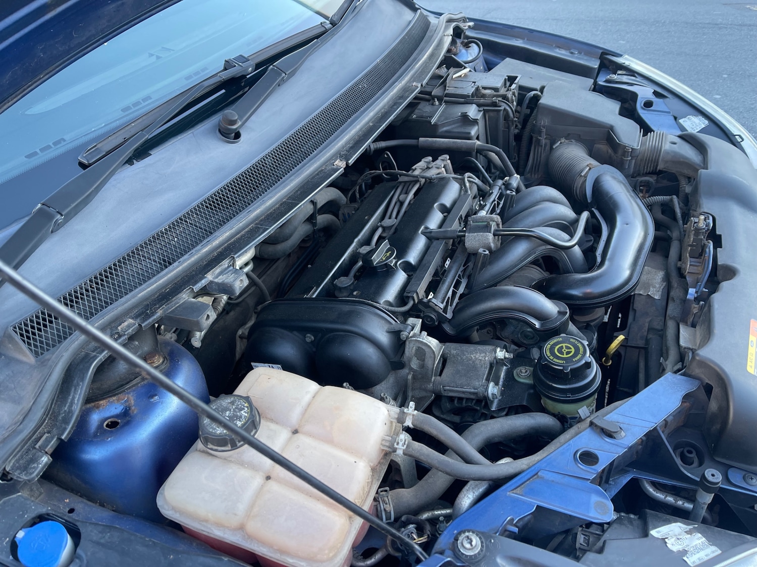 Used Ford Focus 2007 for sale - 77998483: Photo 21