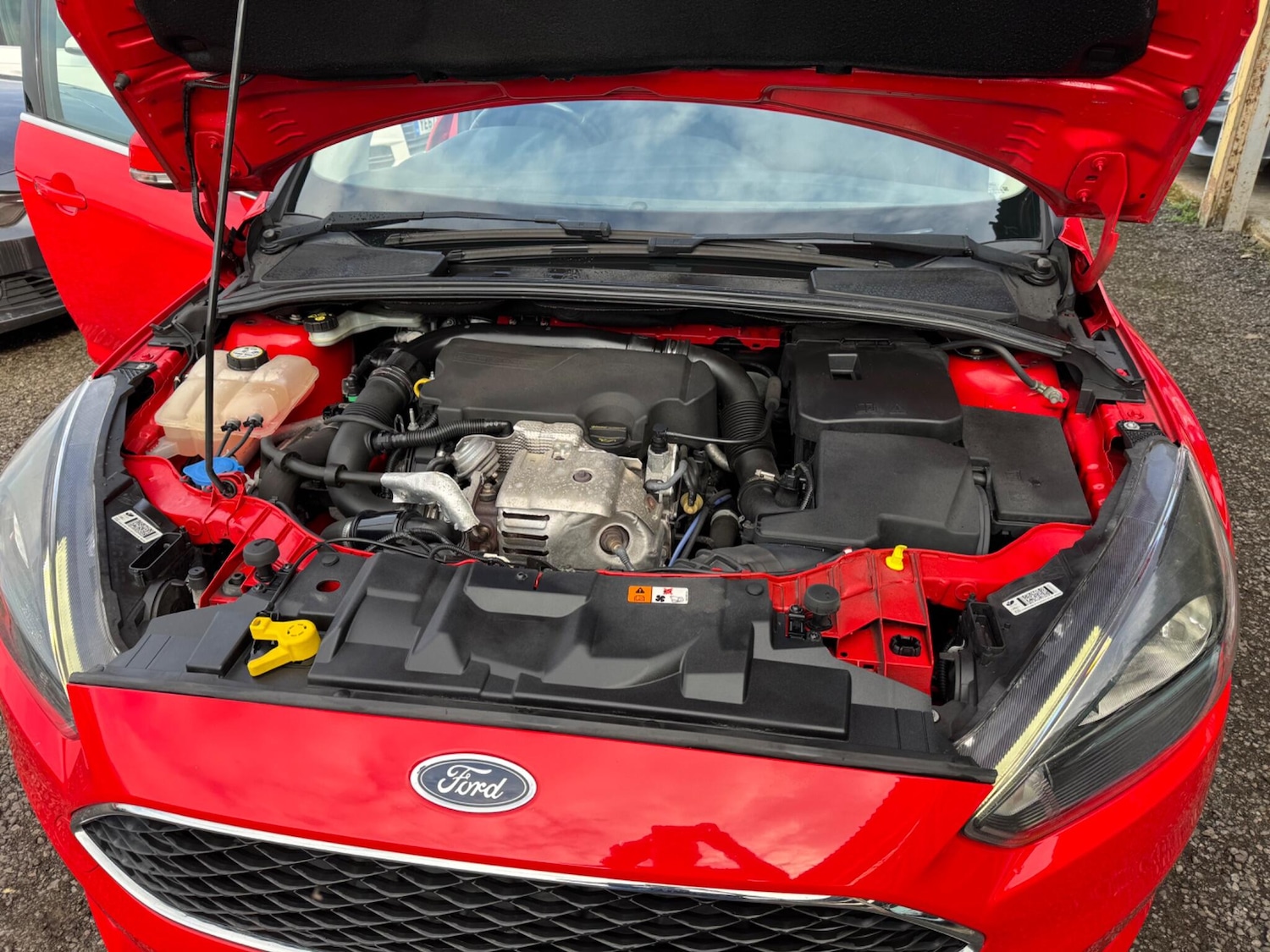 Used Ford Focus 2015 for sale - 78102416: Photo 21