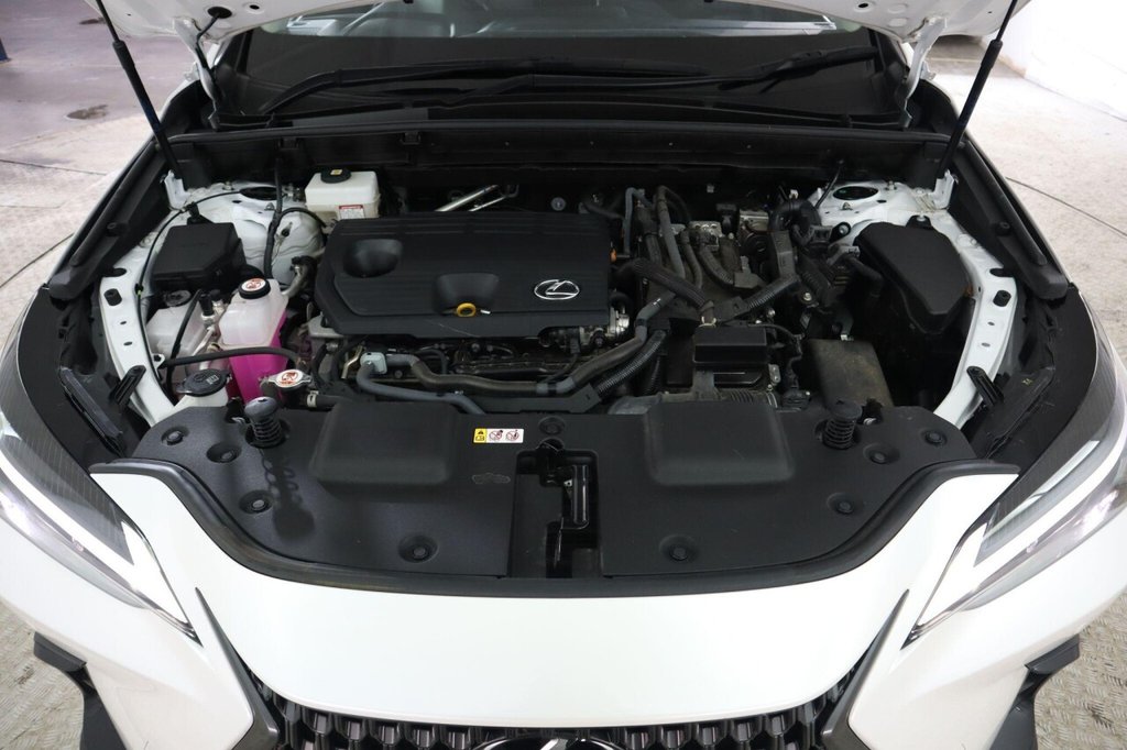 Used Lexus NX 2023 for sale - 76510066: Photo 29