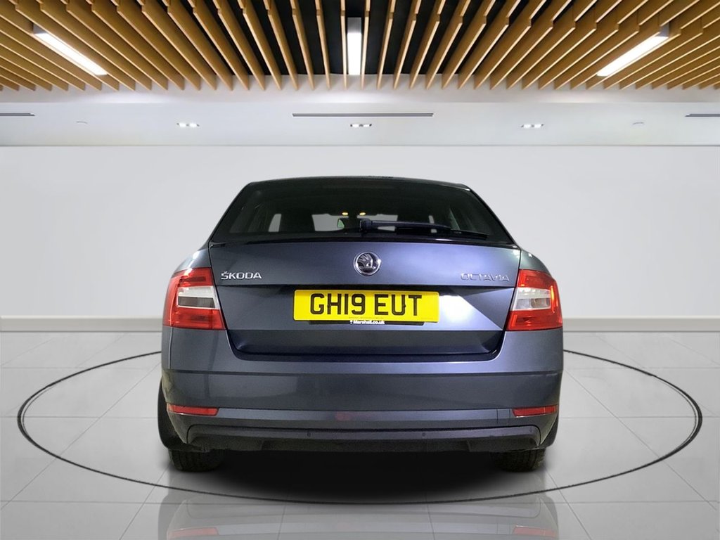 Used Skoda Octavia 2019 for sale - 76546595: Photo 7