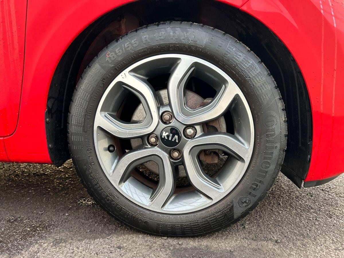 Used Kia Picanto 2019 for sale - 76961606: Photo 13