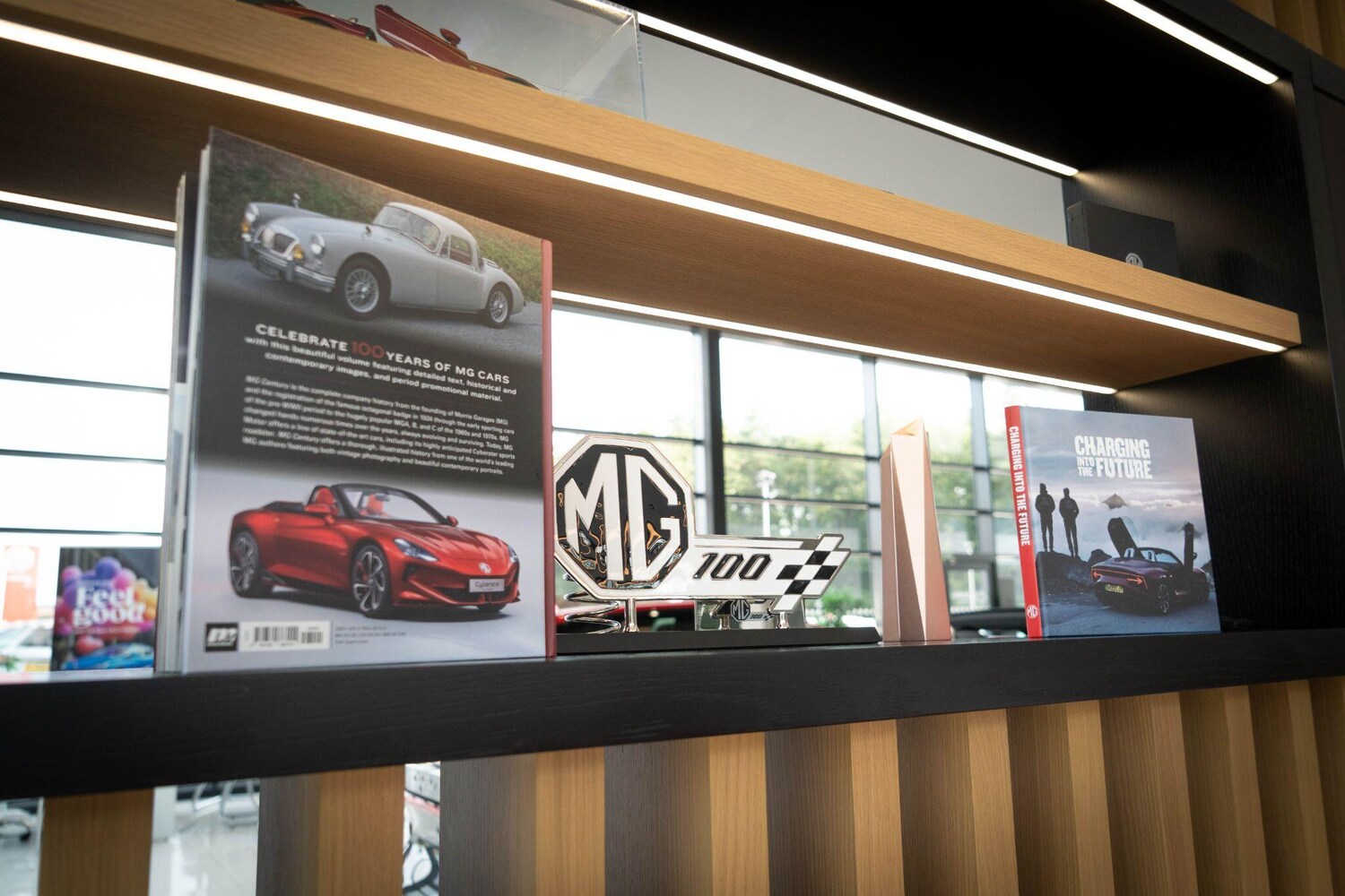 Used Nissan Qashqai 2025 for sale - 77946453: Photo 19