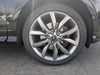Used Ford Kuga 2019 for sale - 79014766: Photo
