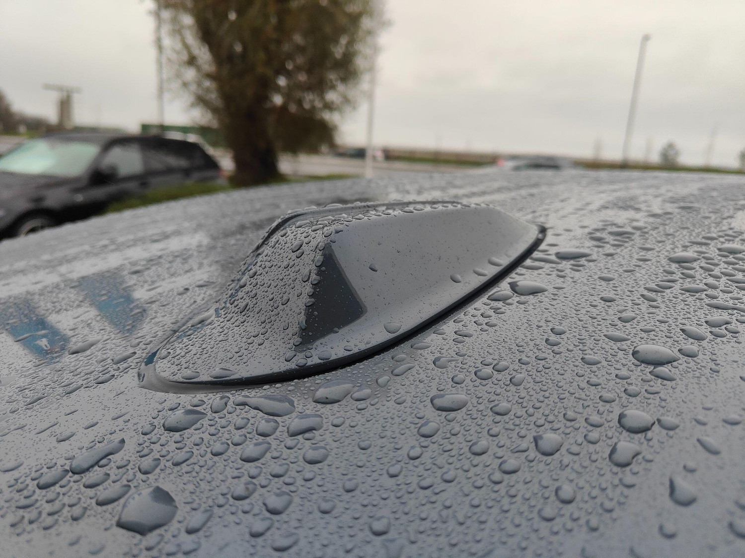 Used BMW 2 Series 2025 for sale - 77025935: Photo 21