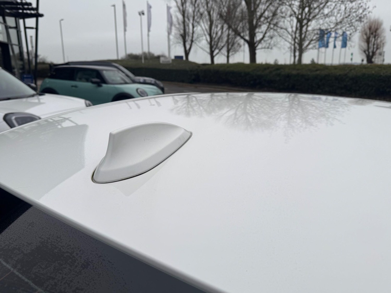 Used BMW 2 Series 2023 for sale - 77809814: Photo 15