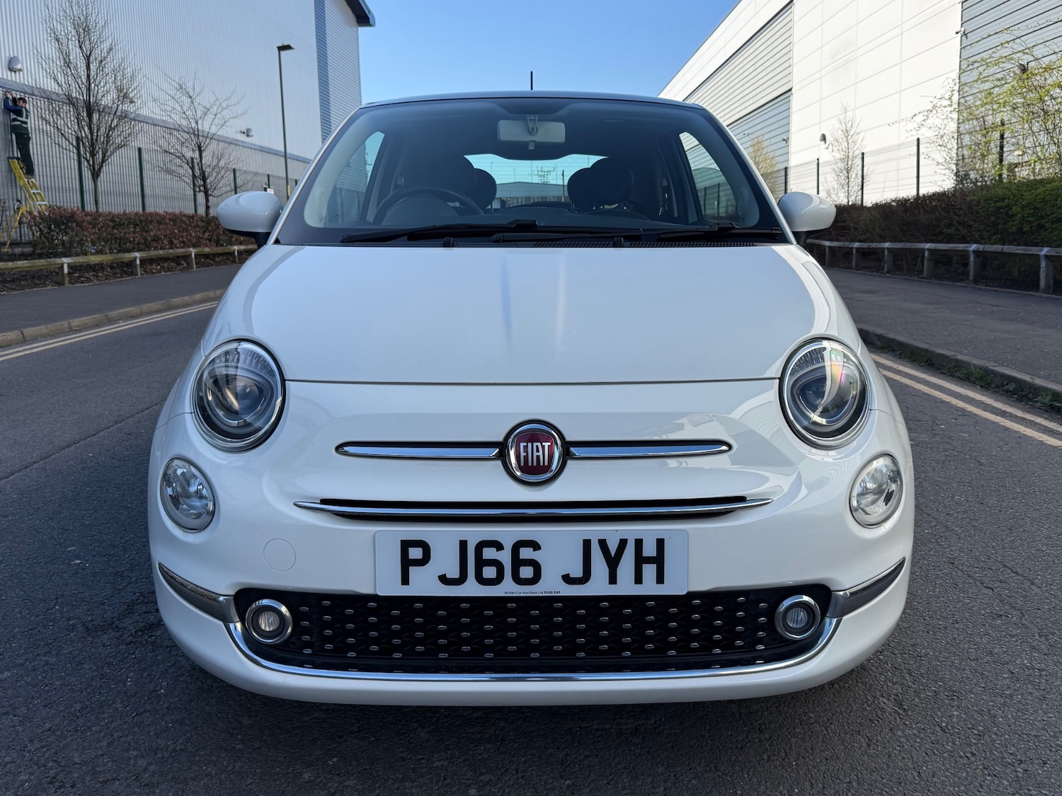 Used Fiat 500 2016 for sale - 78032054: Photo 3