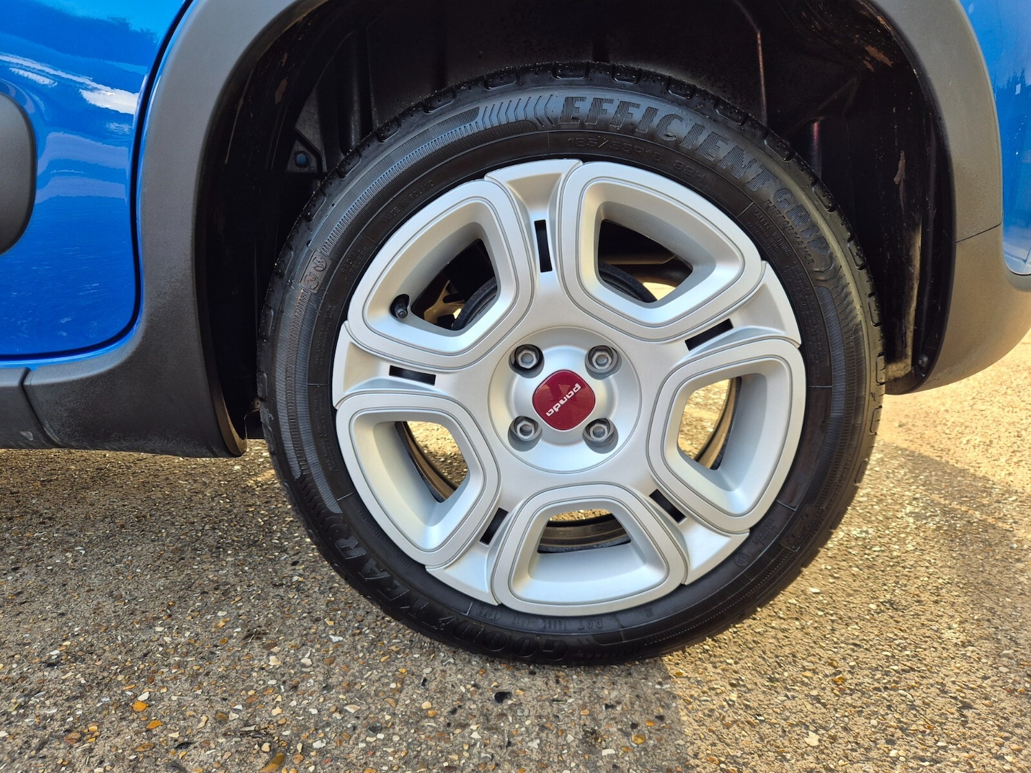 Used Fiat Panda 2024 for sale - 76881887: Photo 13