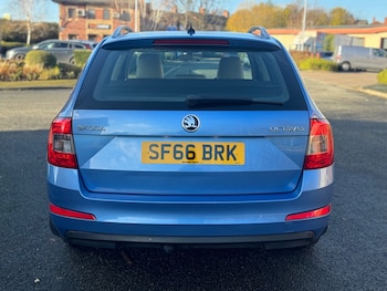Used Skoda Octavia 2016 for sale - 76613464: Photo