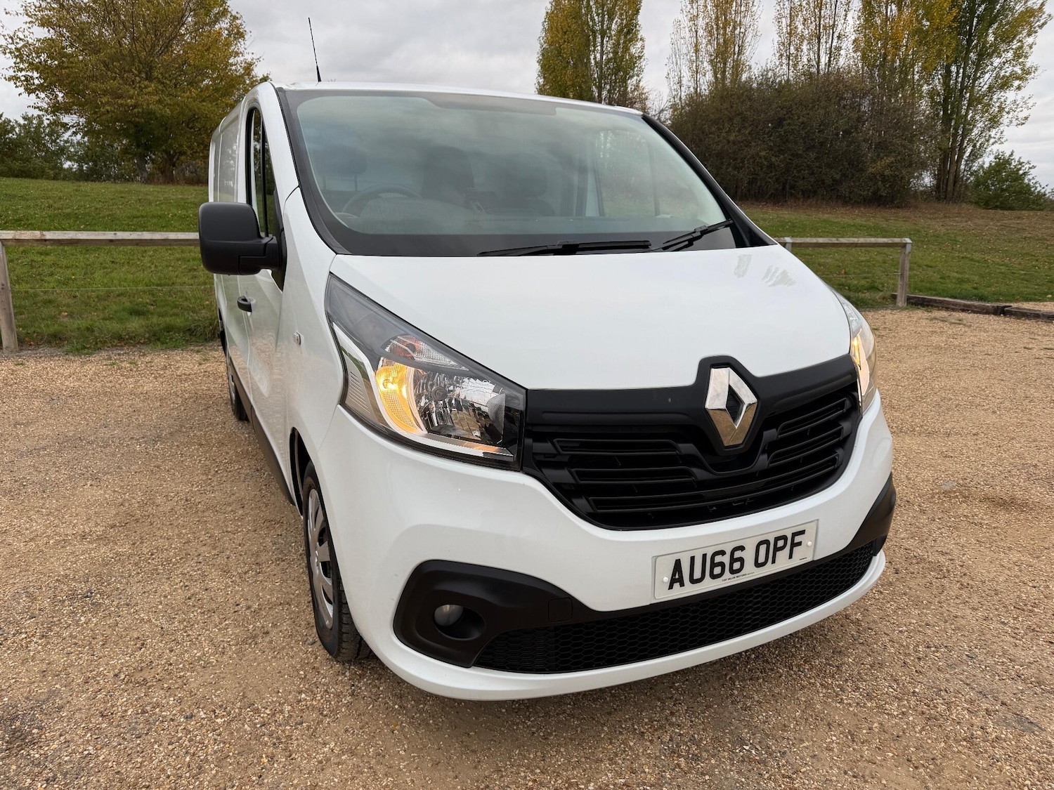 Used Renault Trafic 2016 for sale - 76327044: Photo 1