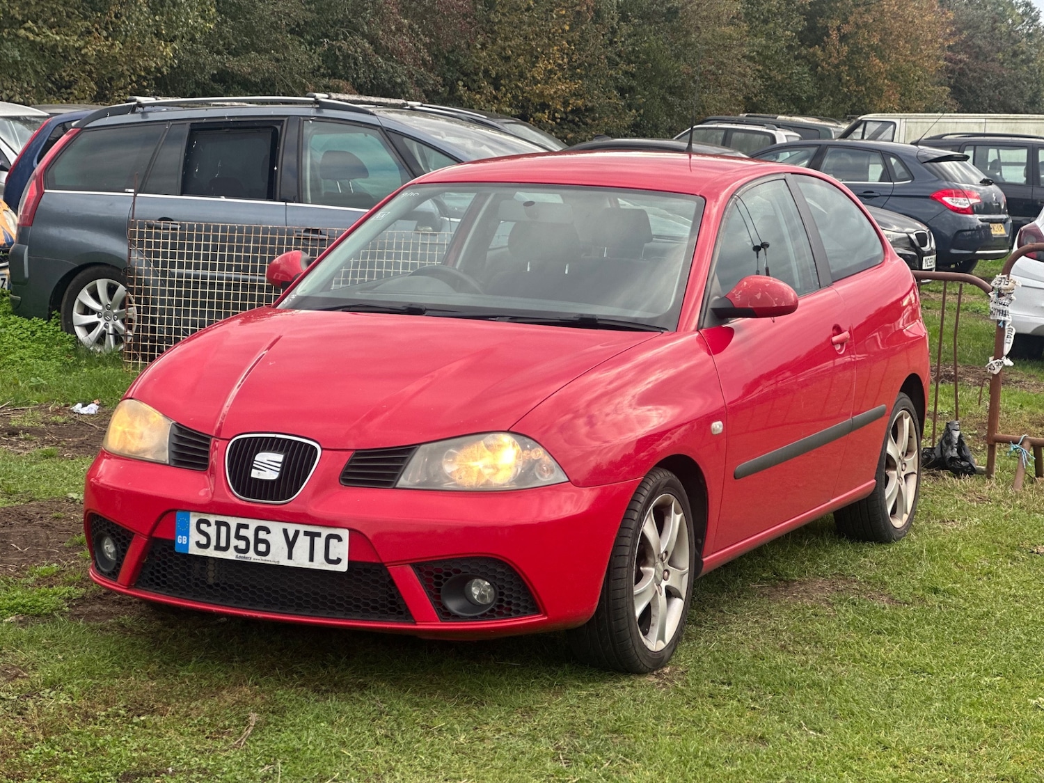 Used SEAT Ibiza 2006 for sale - 76455093: Photo 3