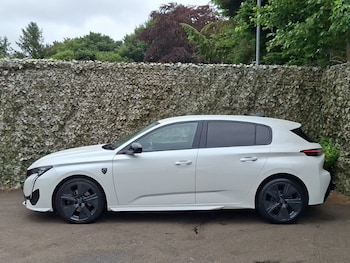 Used Peugeot 308 2023 for sale - 79131178: Photo