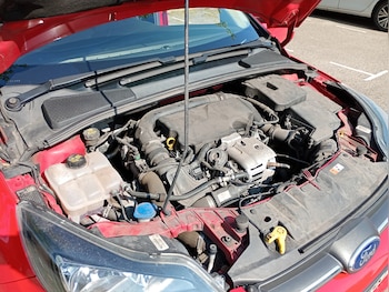 Used Ford Focus 2013 for sale - 74929564: Photo