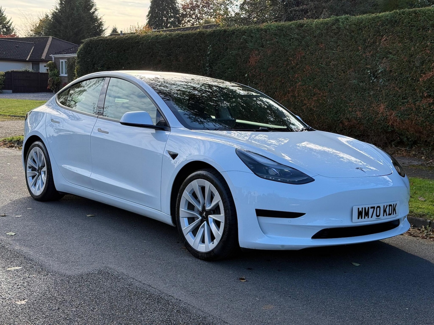 Used Tesla Model 3 2020 for sale - 76561241: Photo 1