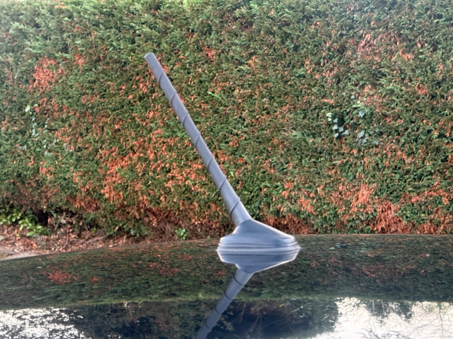 Used Volkswagen Polo 2017 for sale - 76765998: Photo 38