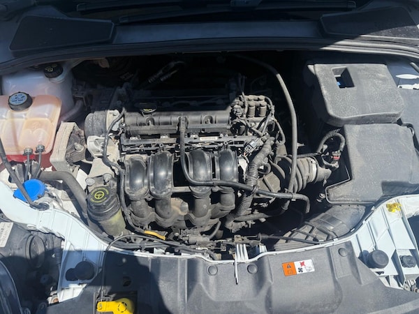 Used Ford Focus 2013 for sale - 75228191: Photo 13