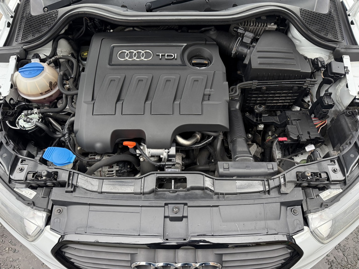 Used Audi A1 2013 for sale - 77590061: Photo 15