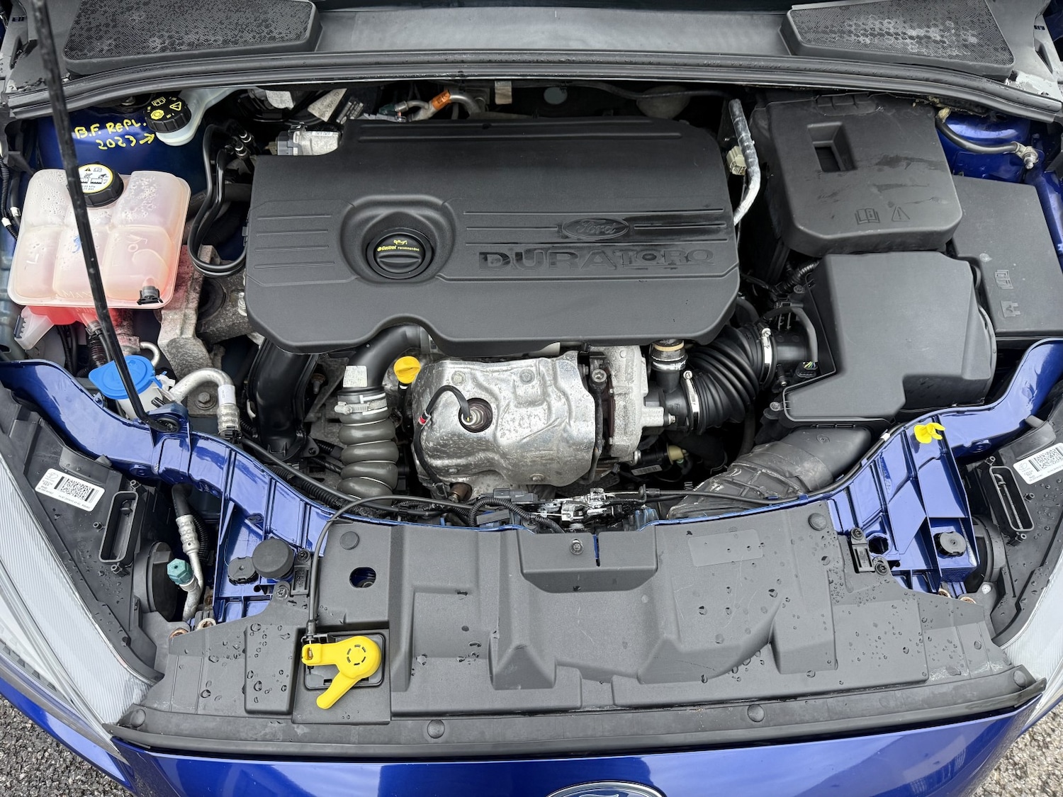 Used Ford Focus 2017 for sale - 76482910: Photo 14