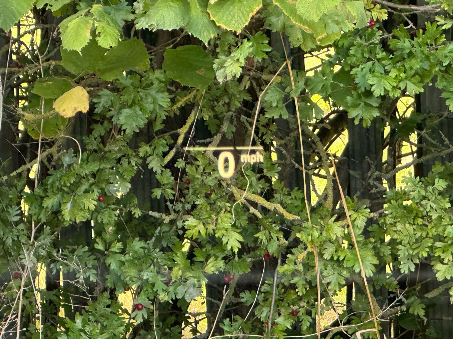 Used BMW 5 Series 2022 for sale - 76777009: Photo 62