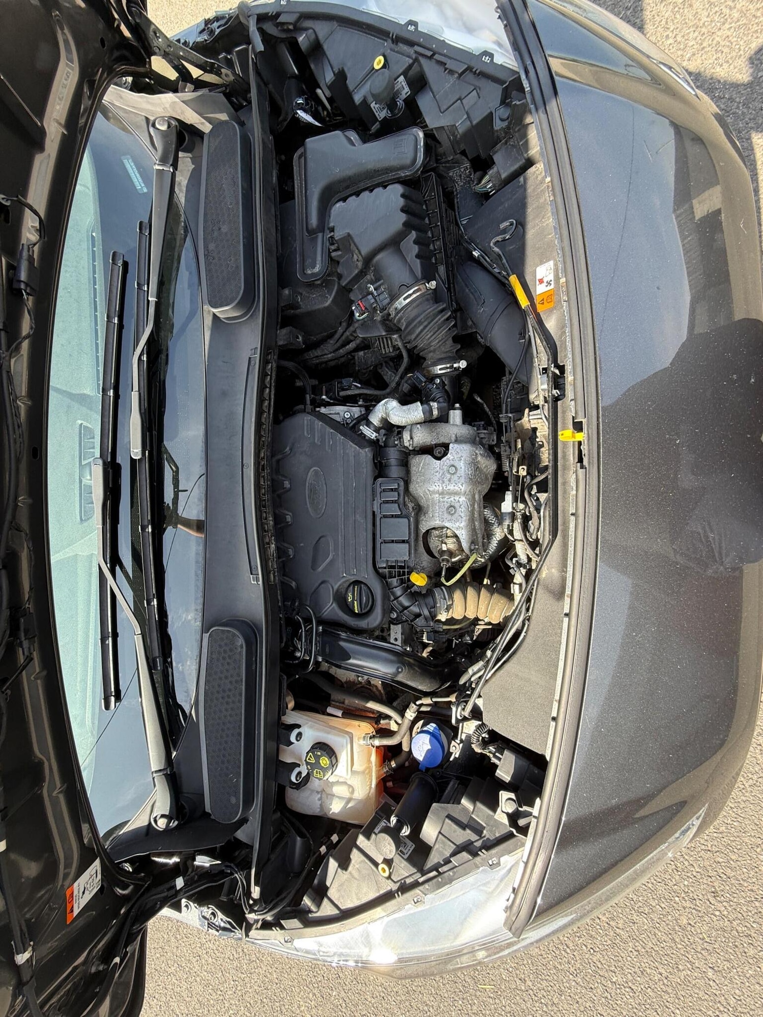 Used Ford Transit Connect 2019 for sale - 76806979: Photo 47