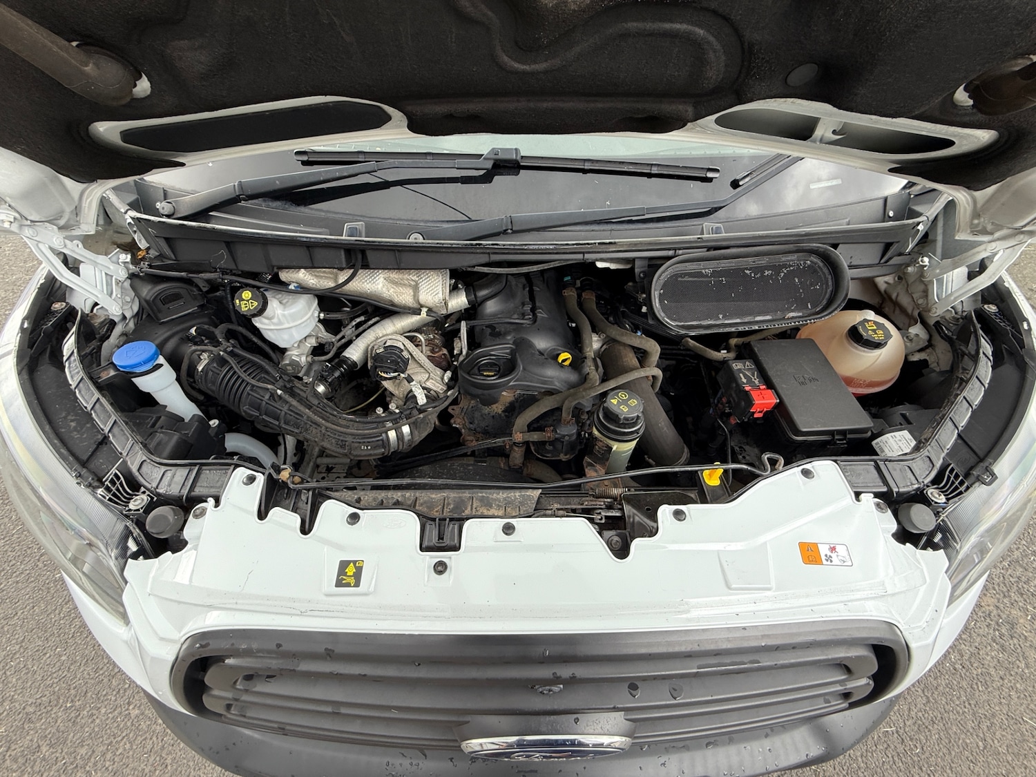 Vehicle 44