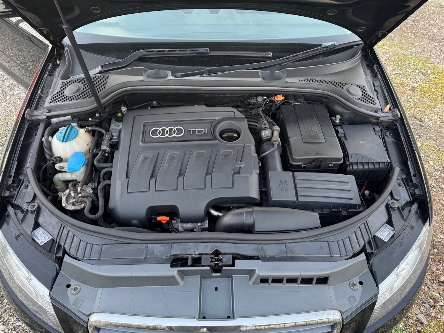 Used Audi A3 2010 for sale - 76885255: Photo 18