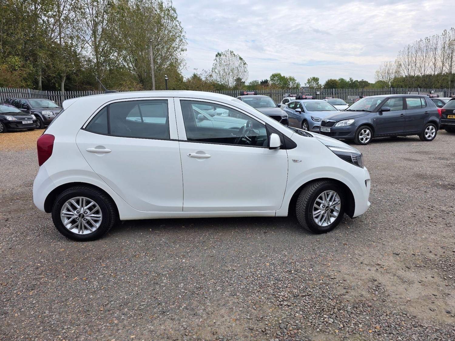 Used Kia Picanto 2021 for sale - 77109564: Photo 6