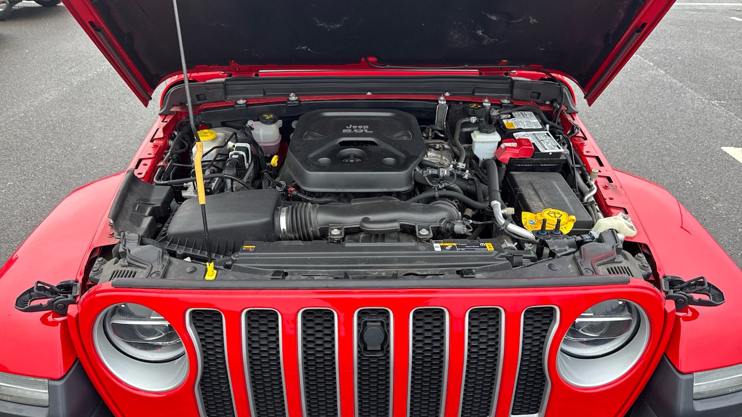 Used Jeep Wrangler 2022 for sale - 77883783: Photo 8