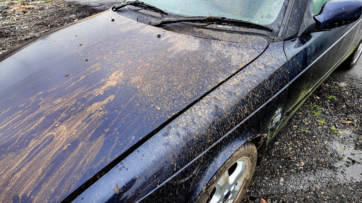 Used Saab 9-3 2001 for sale - 77579615: Photo 29