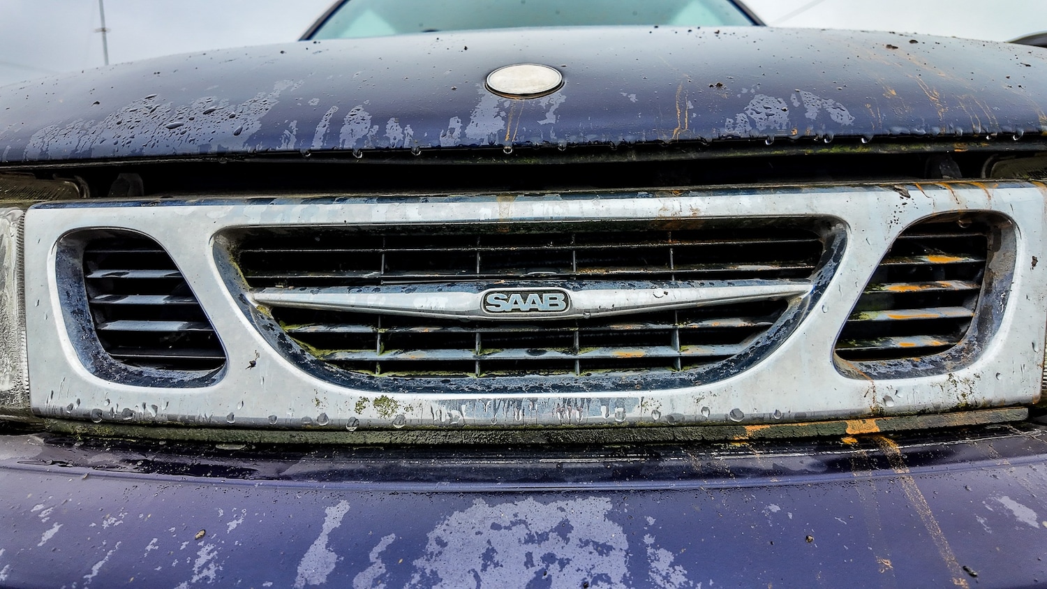 Used Saab 9-3 2001 for sale - 77579615: Photo 6