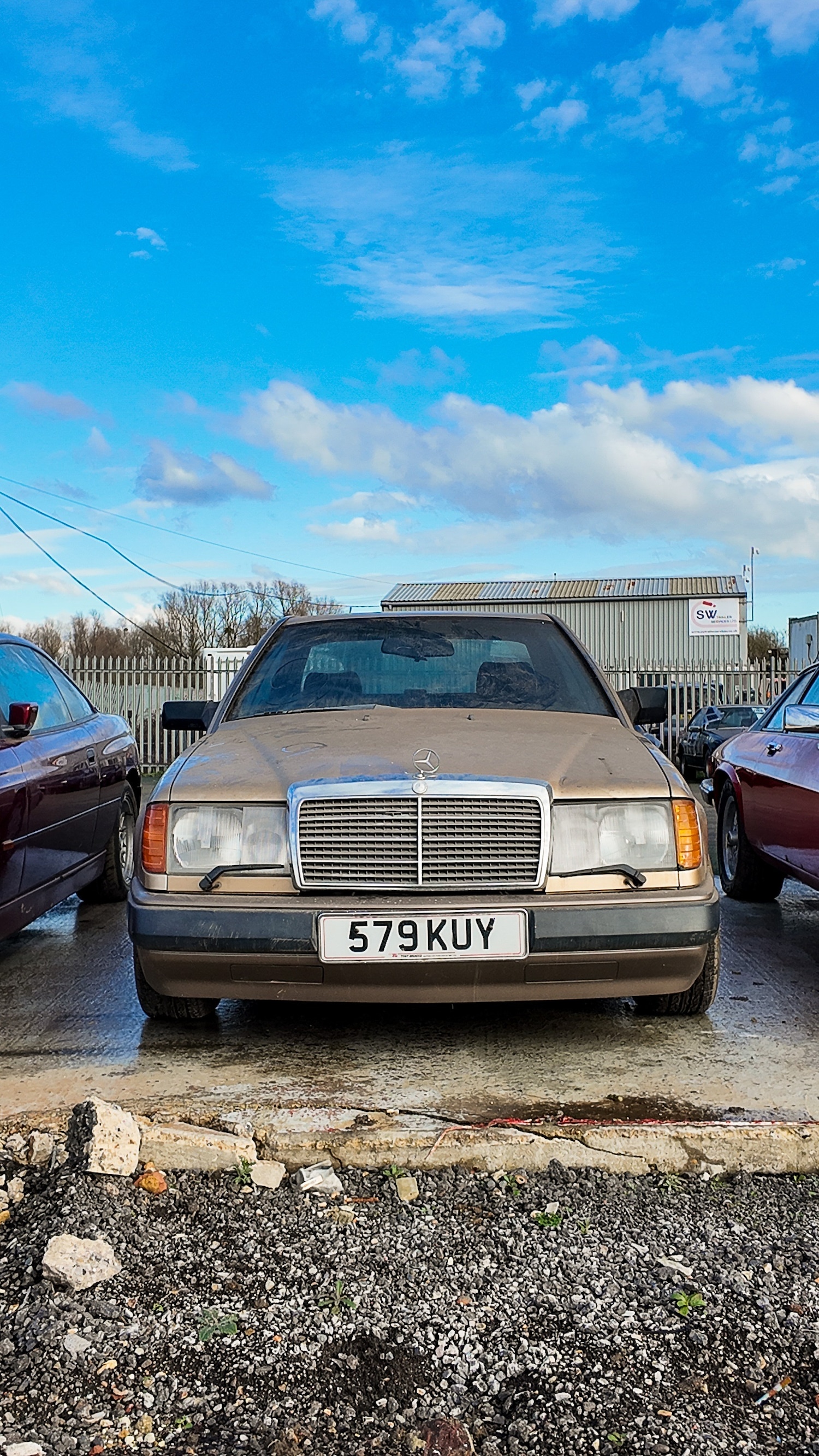 Used Mercedes-Benz C Class 1987 for sale - 77579805: Photo 19