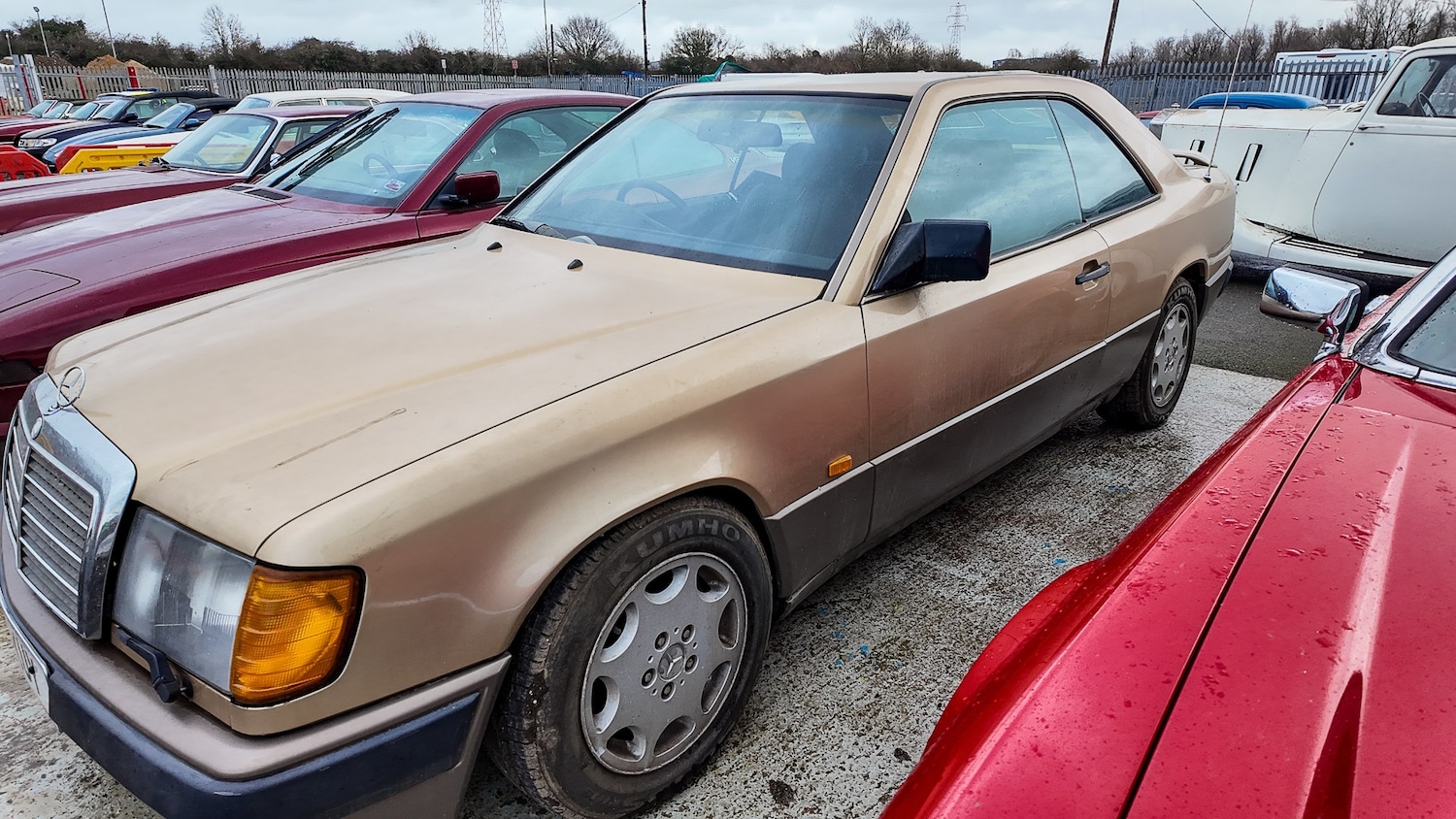 Used Mercedes-Benz C Class 1987 for sale - 77579805: Photo 39