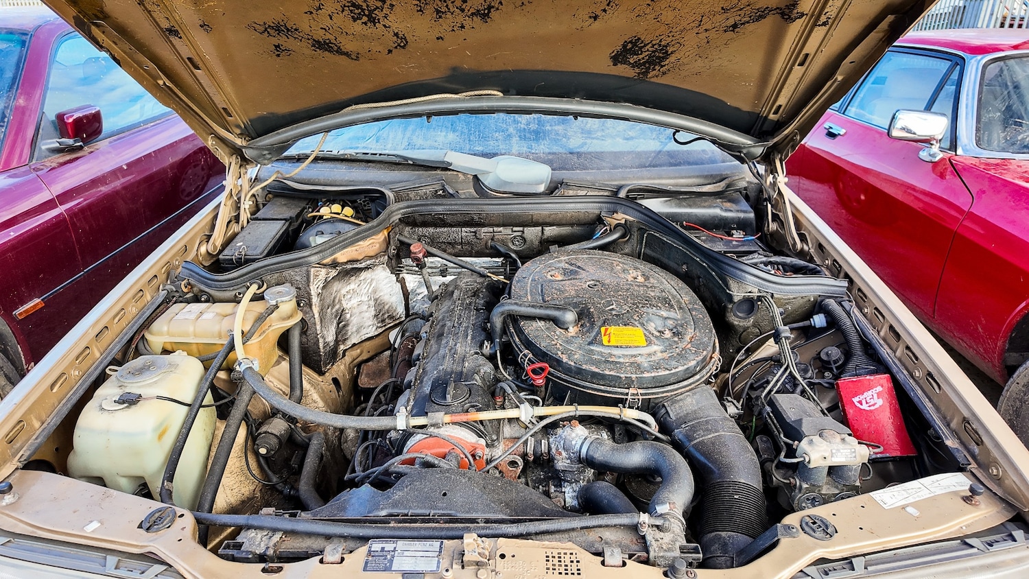 Used Mercedes-Benz C Class 1987 for sale - 77579805: Photo 5