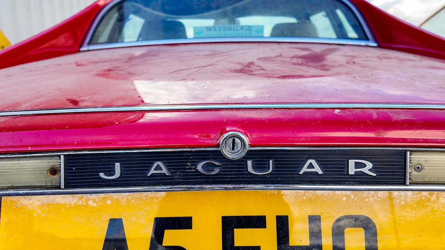 Used Jaguar XJS 1989 for sale - 77579657: Photo 12