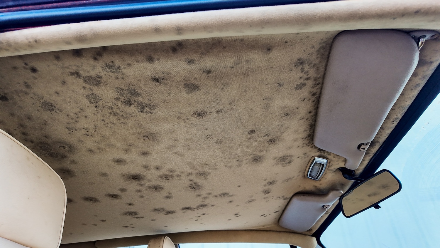 Used Jaguar XJS 1989 for sale - 77579657: Photo 19