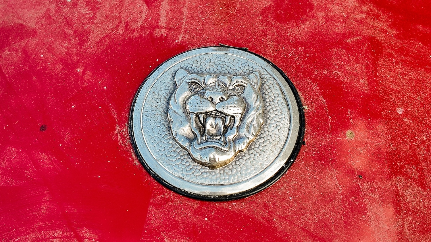 Used Jaguar XJS 1989 for sale - 77579657: Photo 36