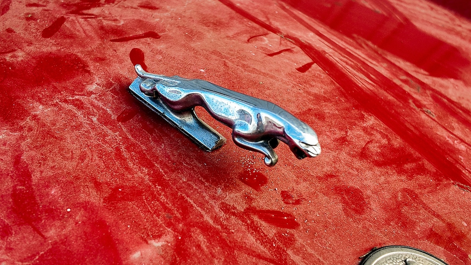 Used Jaguar XJS 1989 for sale - 77579657: Photo 44