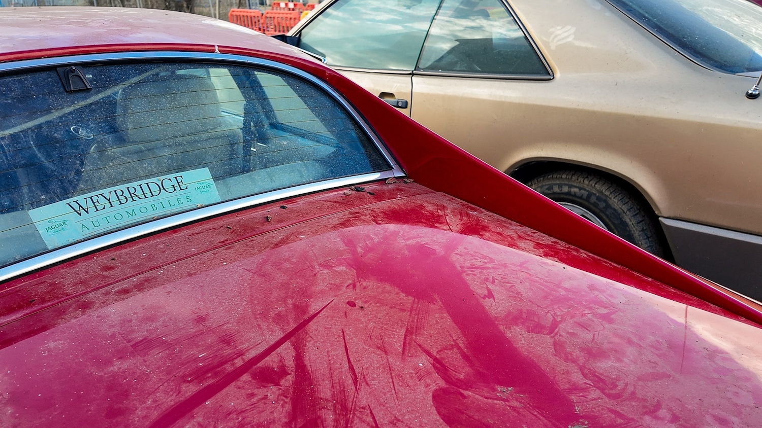 Used Jaguar XJS 1989 for sale - 77579657: Photo 48