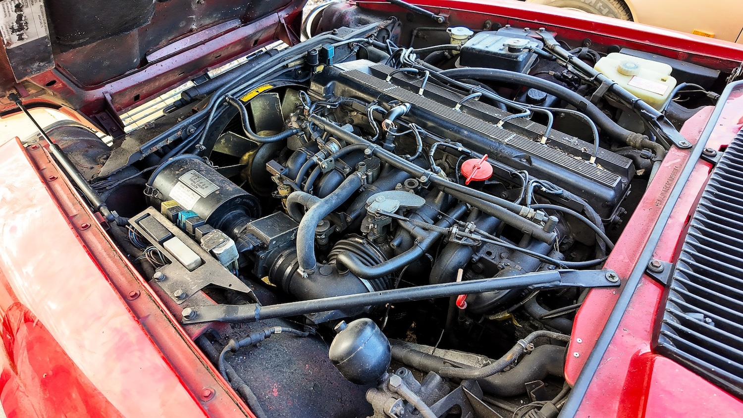 Used Jaguar XJS 1989 for sale - 77579657: Photo 5