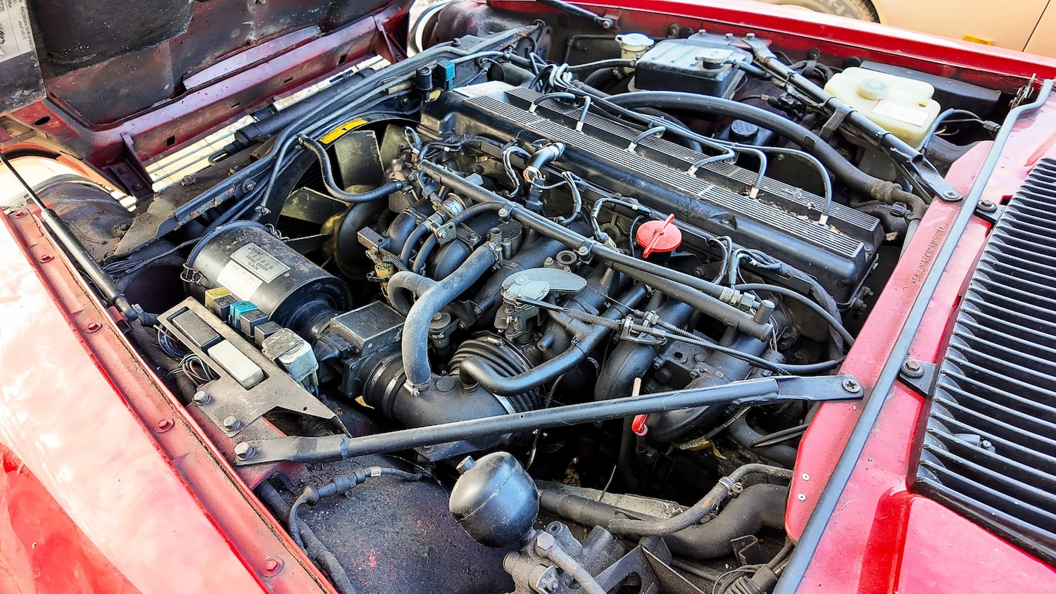 Used Jaguar XJS 1989 for sale - 77579657: Photo 7