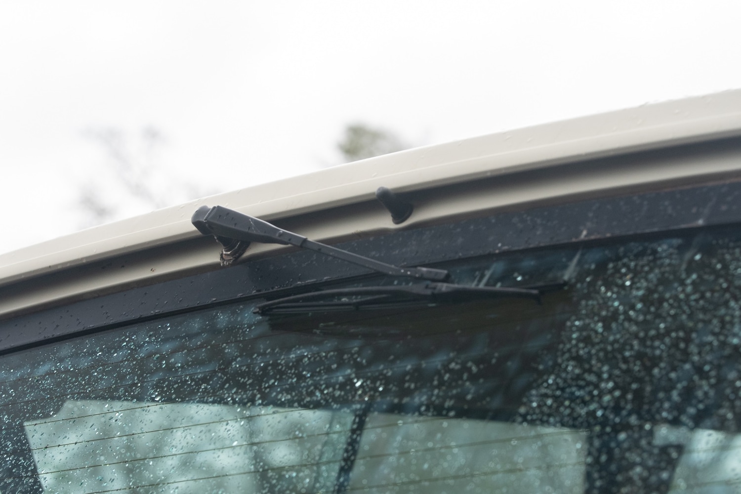 Used Land Rover Range Rover 2021 for sale - 77581449: Photo 25