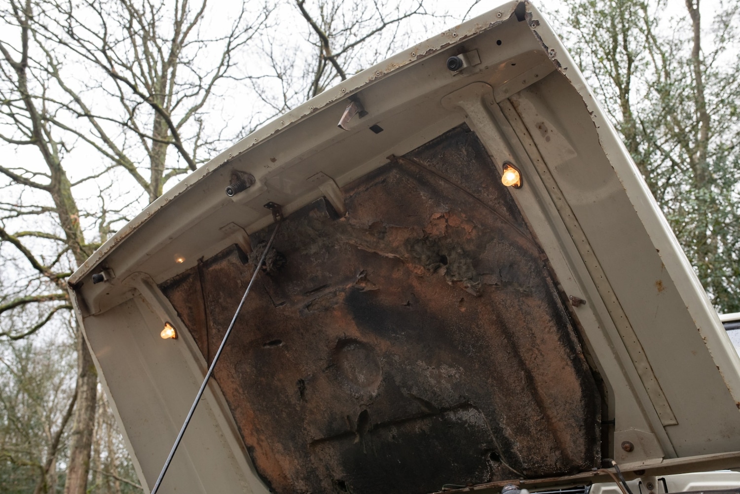 Used Land Rover Range Rover 2021 for sale - 77581449: Photo 52