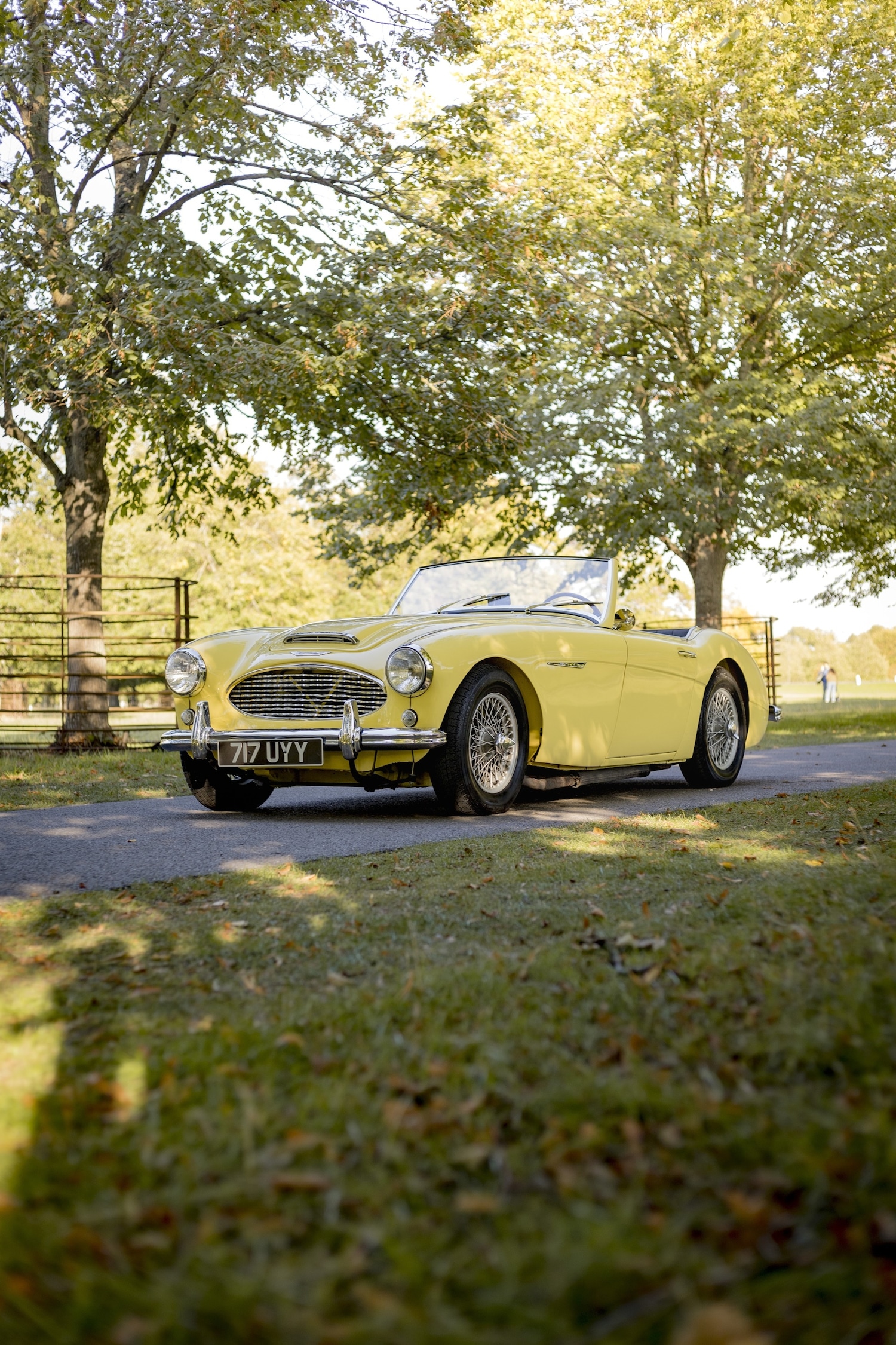 Used Austin Healey 2018 for sale - 76382617: Photo 15