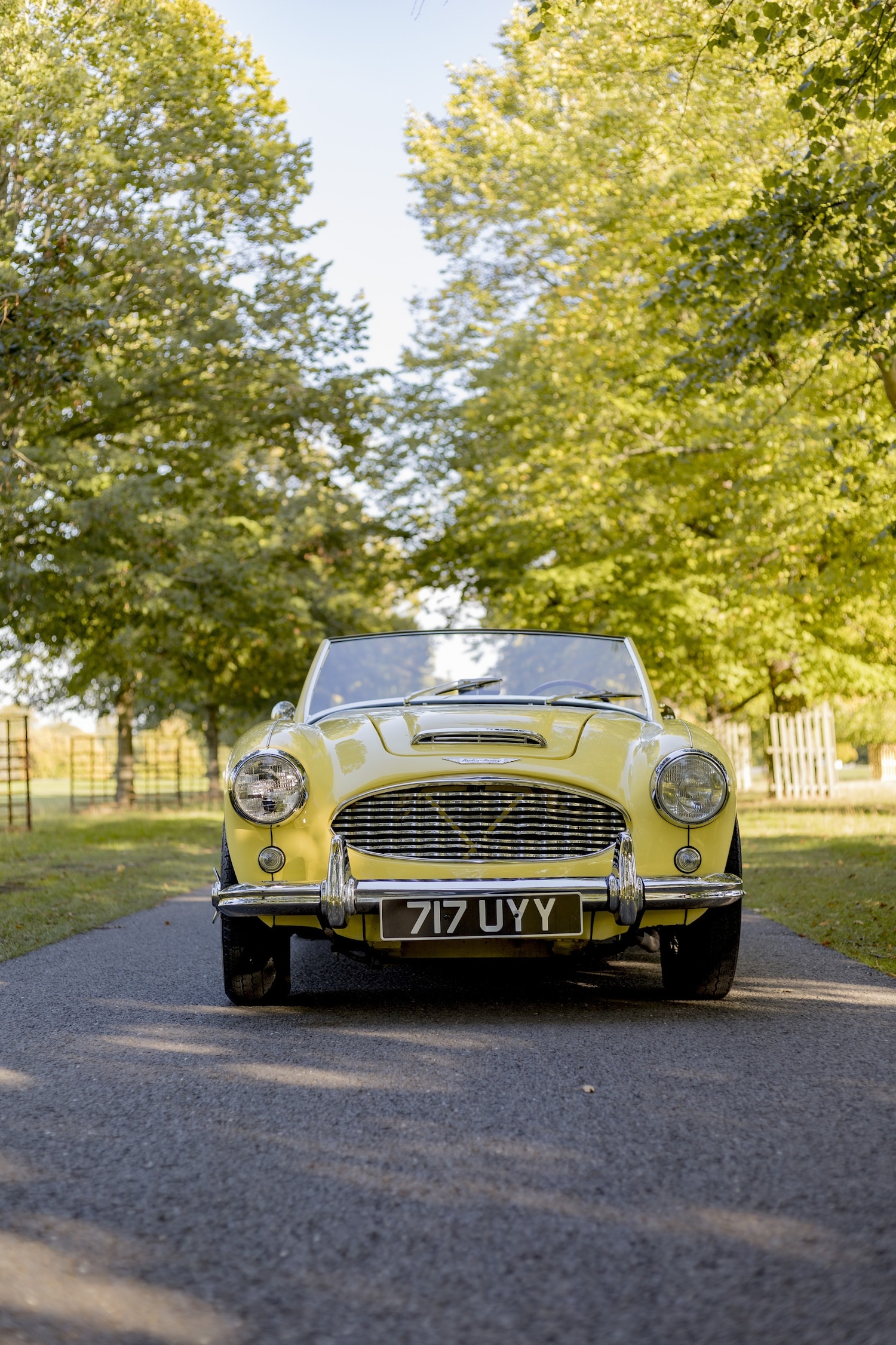 Used Austin Healey 2018 for sale - 76382617: Photo 16