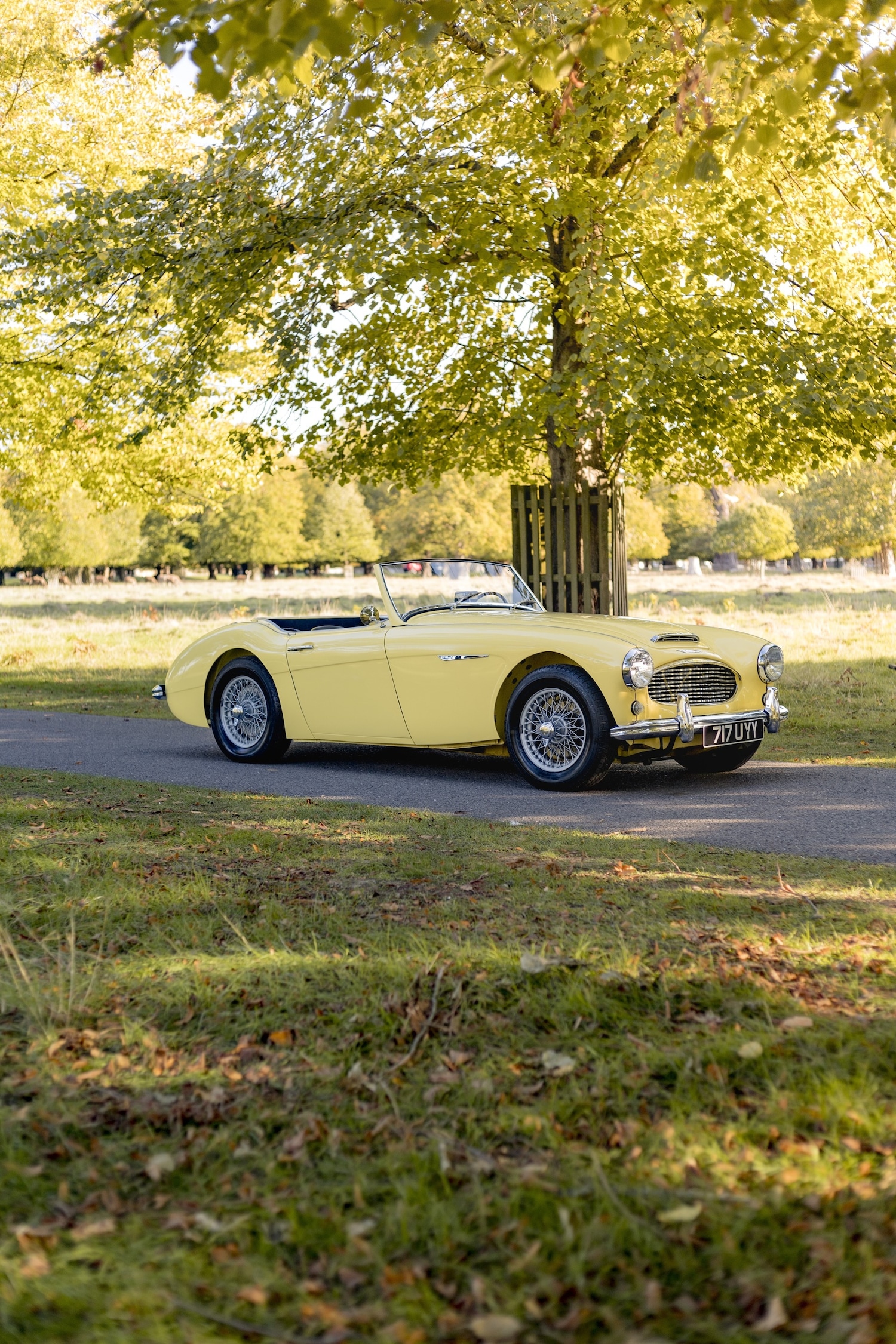 Used Austin Healey 2018 for sale - 76382617: Photo 17