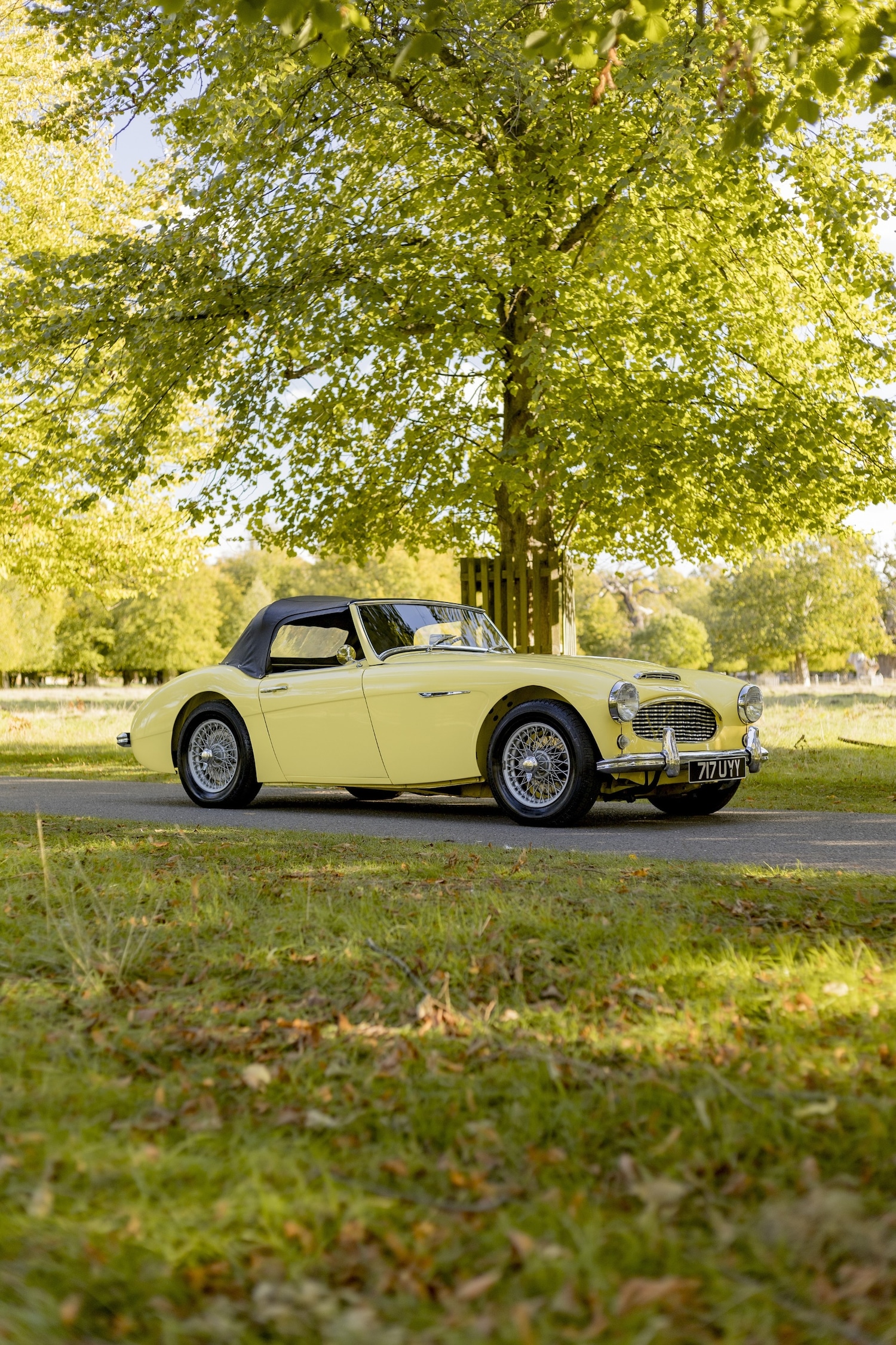 Used Austin Healey 2018 for sale - 76382617: Photo 21