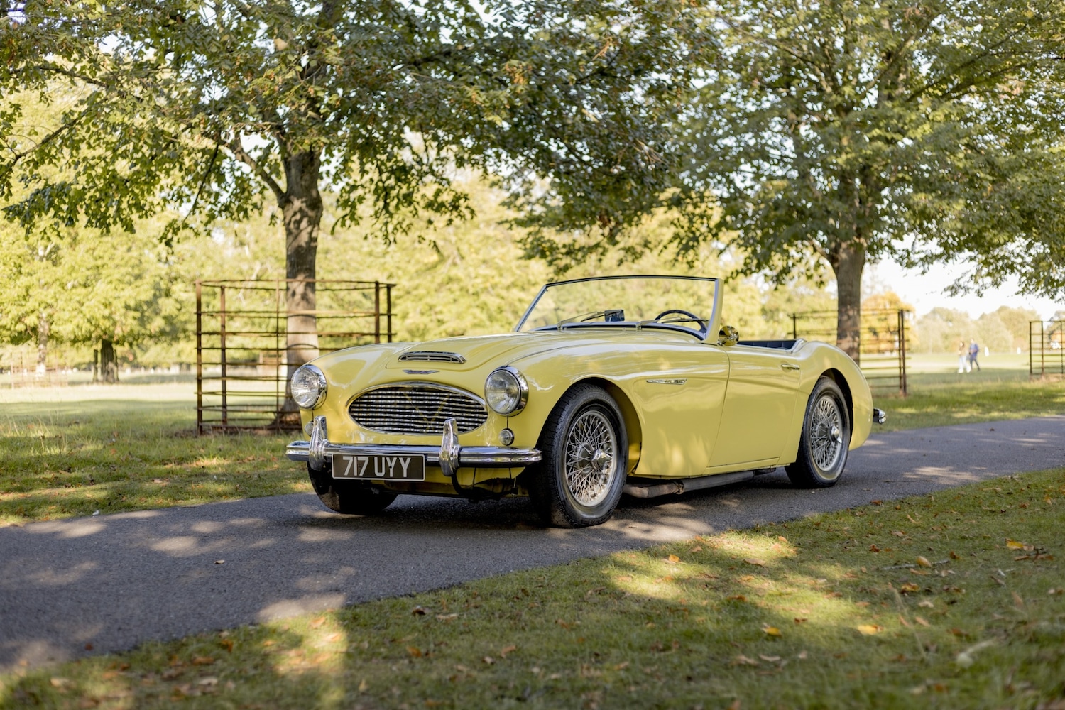 Used Austin Healey 2018 for sale - 76382617: Photo 23