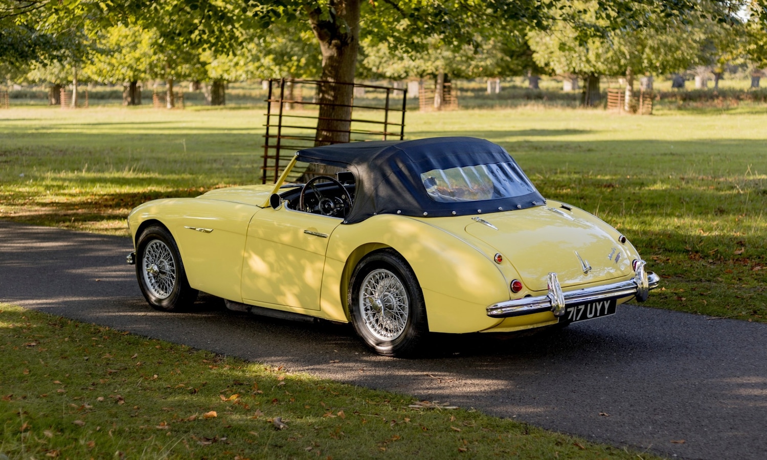 Used Austin Healey 2018 for sale - 76382617: Photo 3