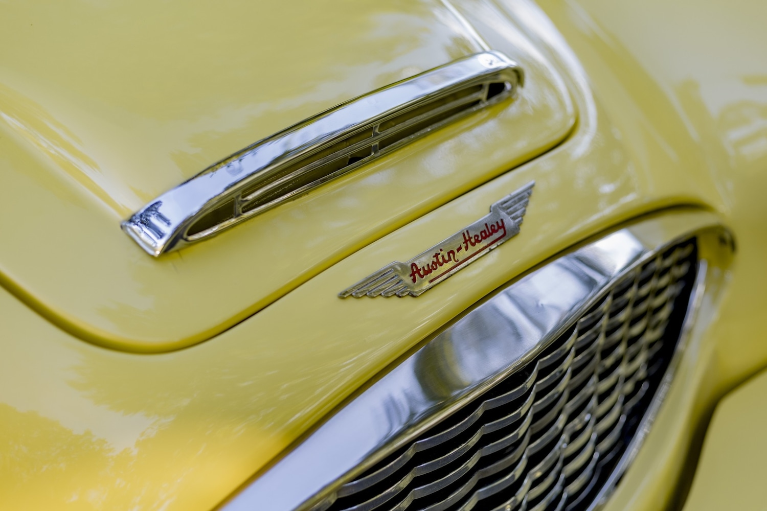 Used Austin Healey 2018 for sale - 76382617: Photo 33