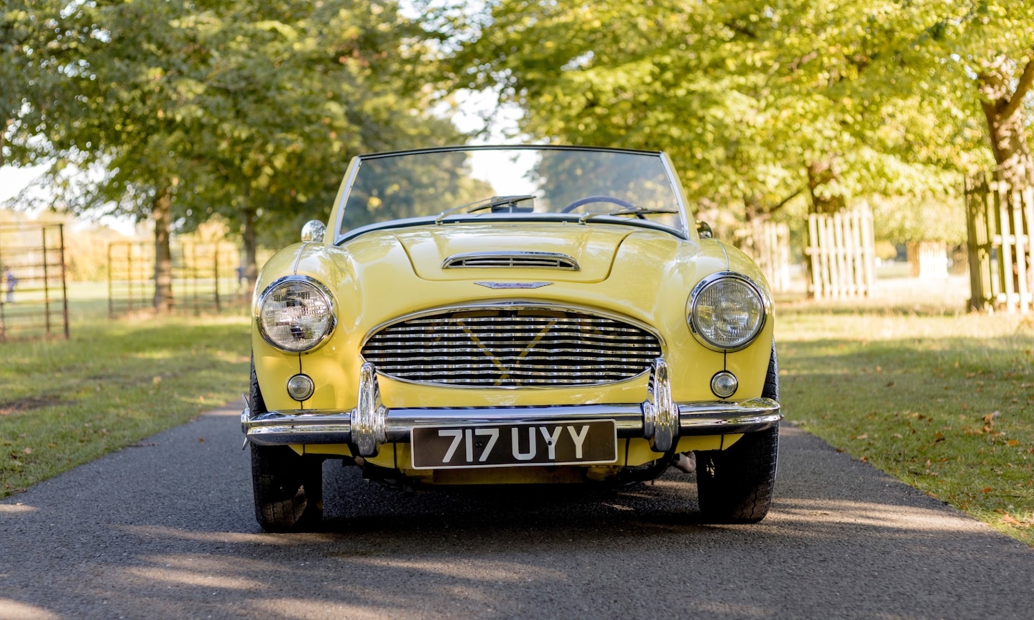 Used Austin Healey 2018 for sale - 76382617: Photo 5